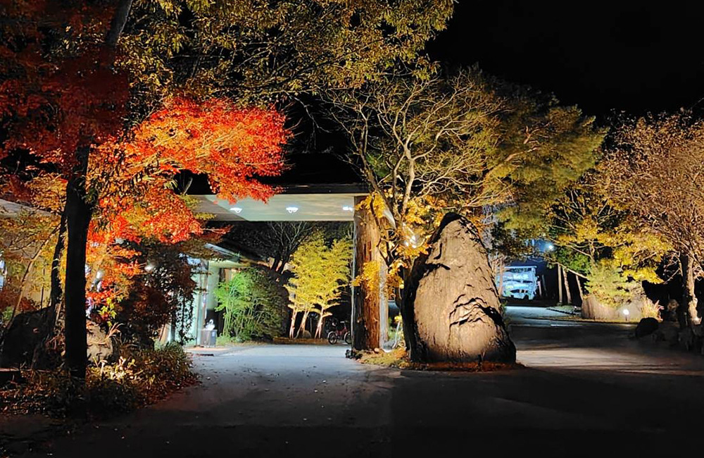 夜景